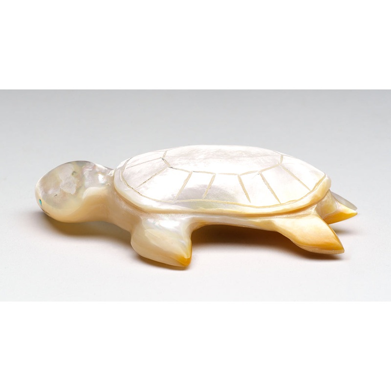 Aqueous Reptile|Turtle|Mother-Of-Pearl