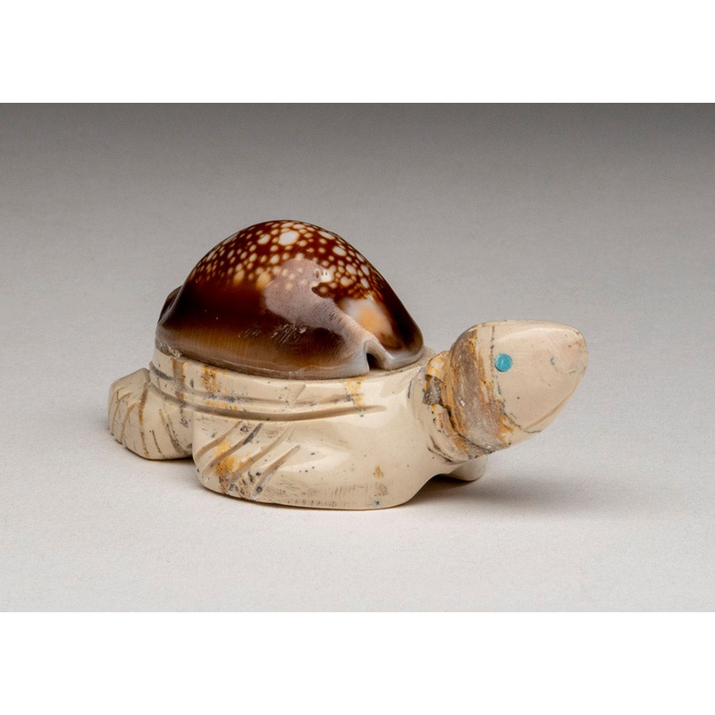Cowry Turtle|Turtle|Fish Rock|Turtle|Fish Rock