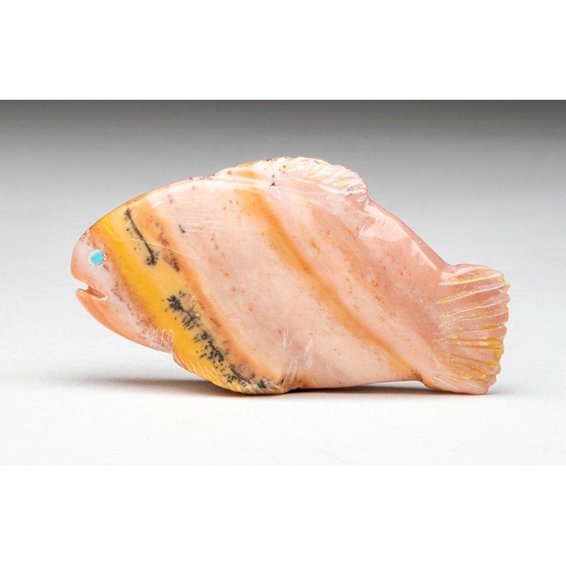 Enigmatic Fish|Fish|Dolomite|Fish|Dolomite
