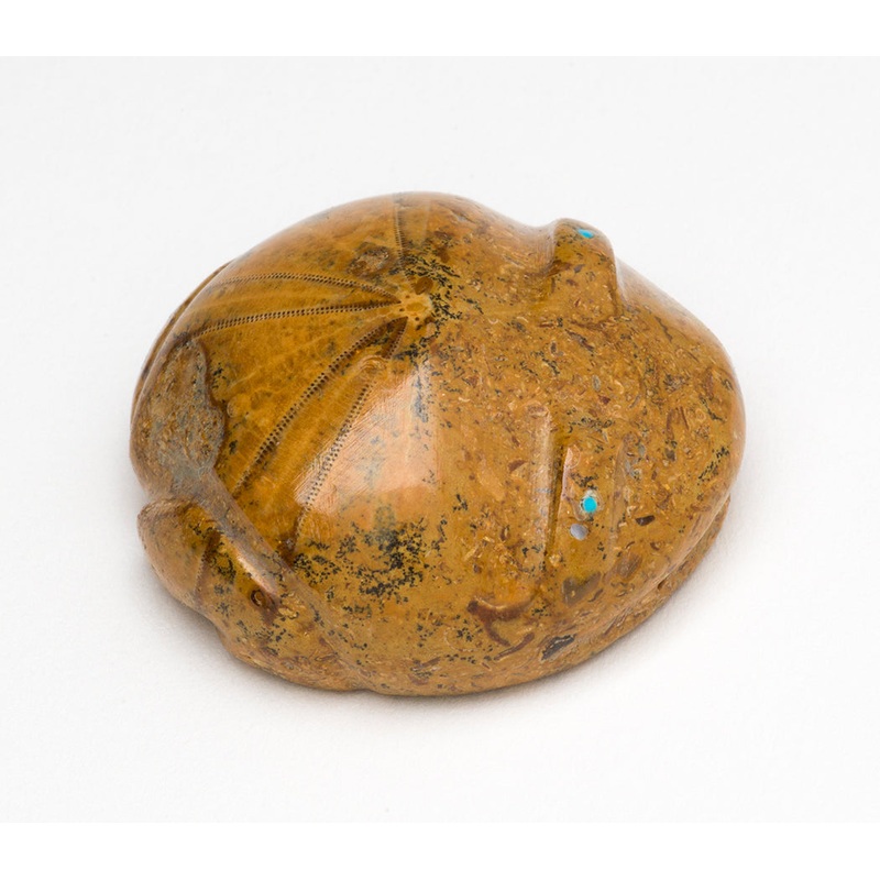 Fossilized Sand Dollar Amphibian