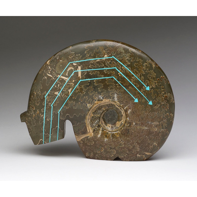 Grand Triple Heartline Fossil Bear