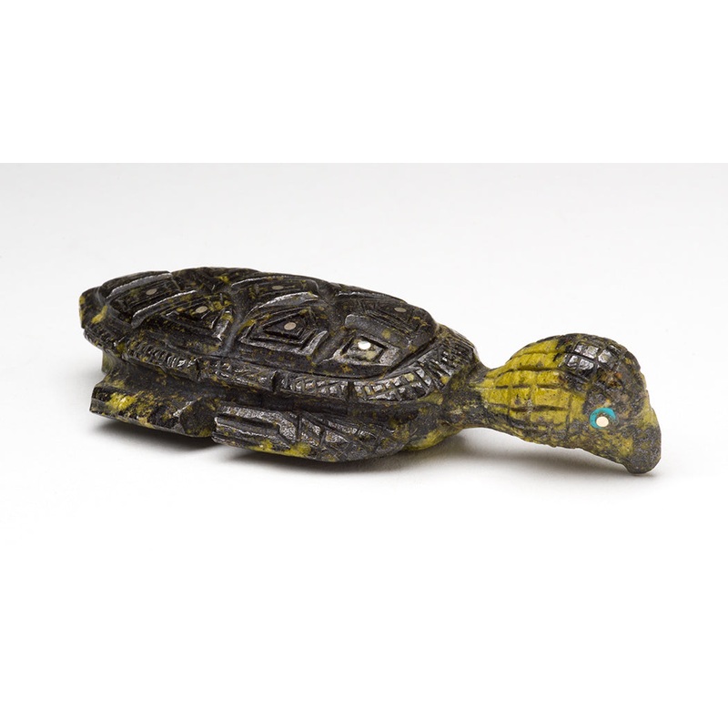Hatchling Starts Out|Turtle|Serpentine