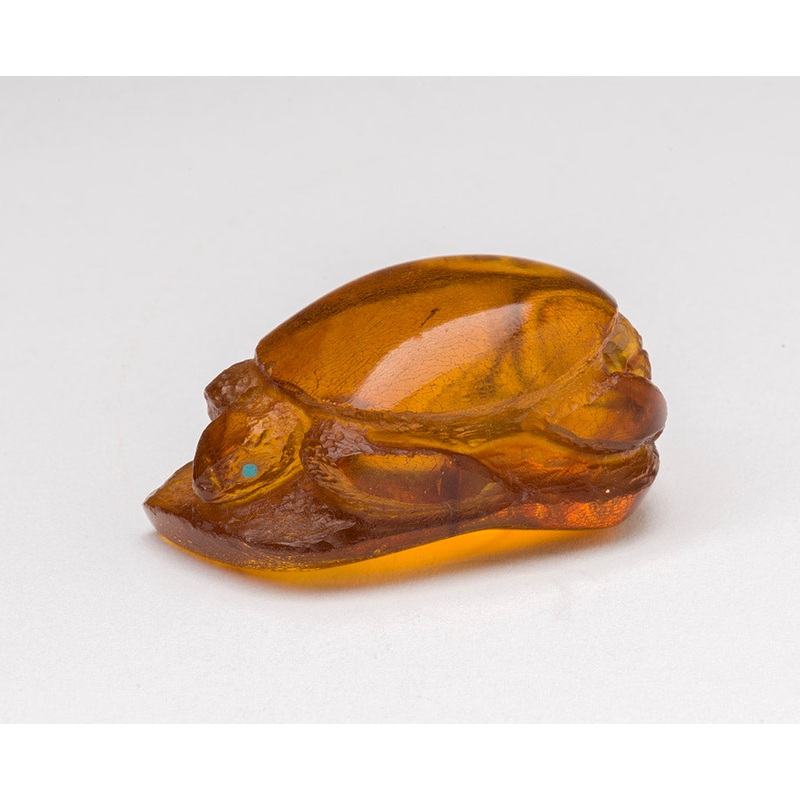 Honey of A Turtle|Turtle|Amber