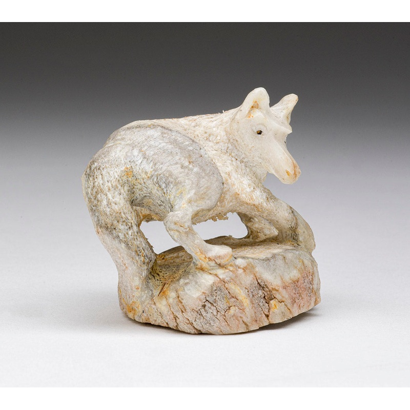 Power Pouncer|Bushytail|Antler