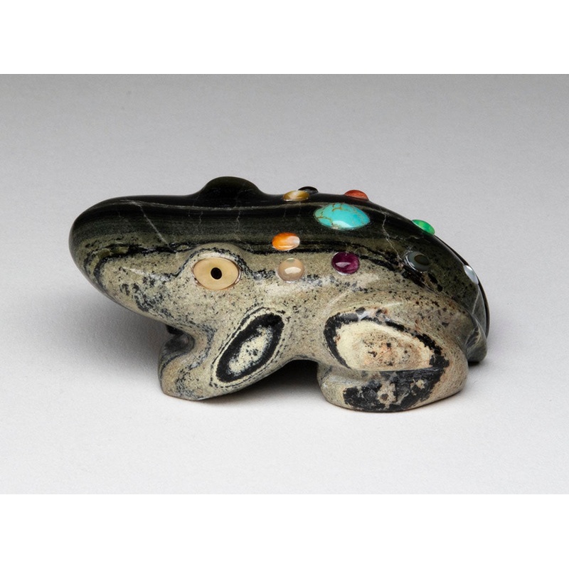 Rain Frog|Frog|Serpentine|Frog|Serpentine