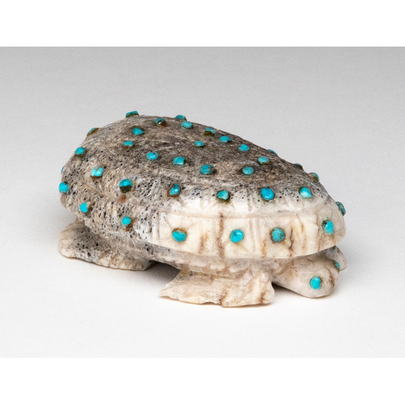Turquoise-Studded Reptile|Turtle|Antler