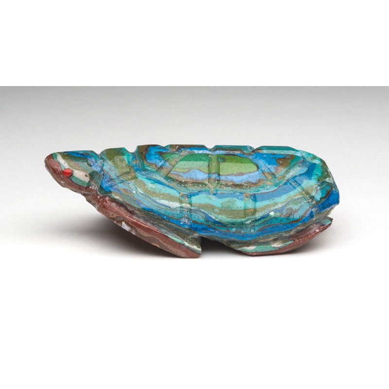 Always At Home Turtle|Turtle|Rainbow Calsilica