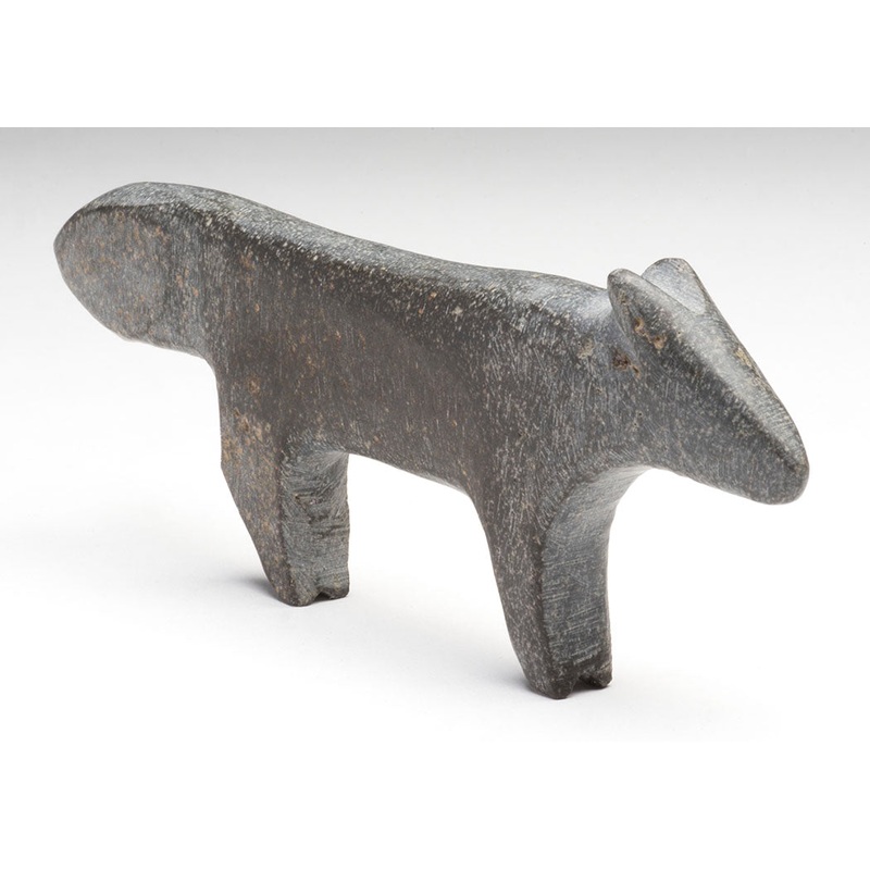 Traversing Coyote|Coyote|Found Stone