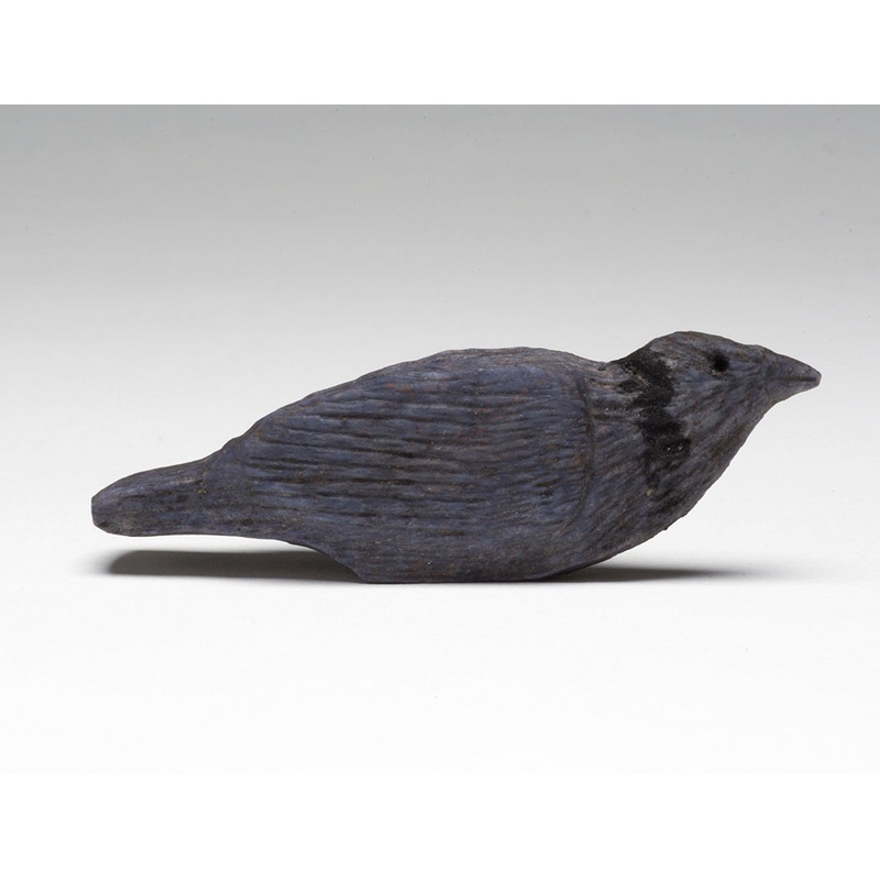 A Stellar Stellar Jay|Stellar Jay|Dumortierite