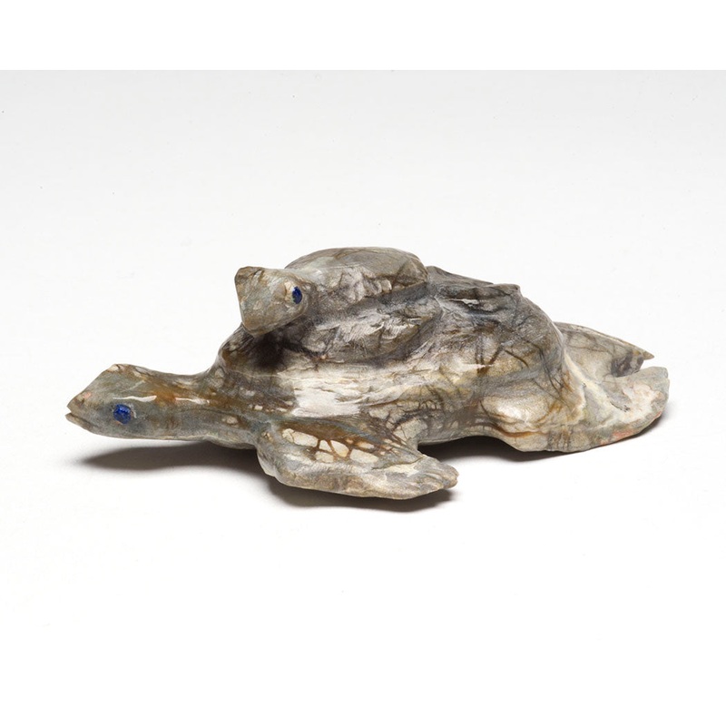 Azurite-Eyed Mother Turtle & Hatchling