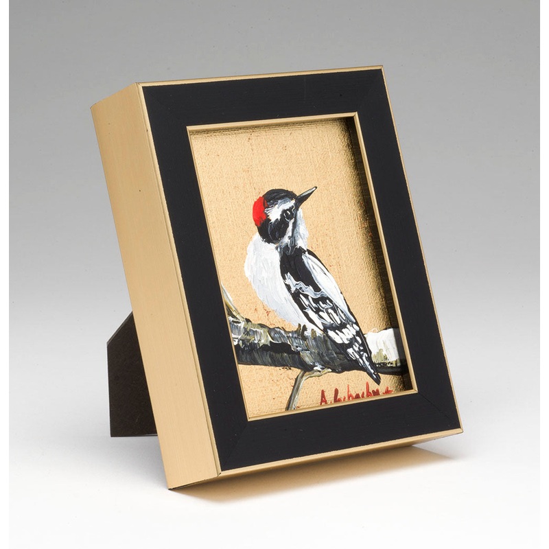 Baby Woodpecker