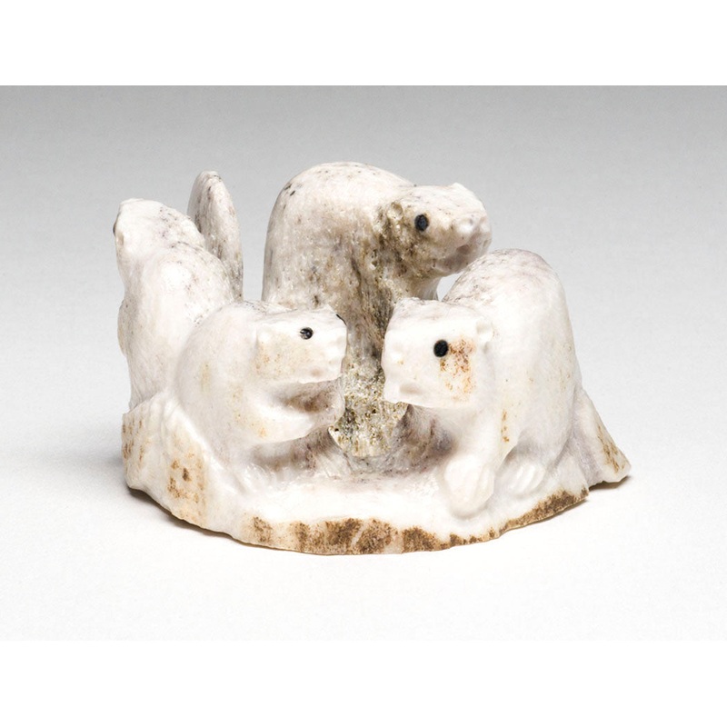 Beaver Builder Family|Beaver|Antler