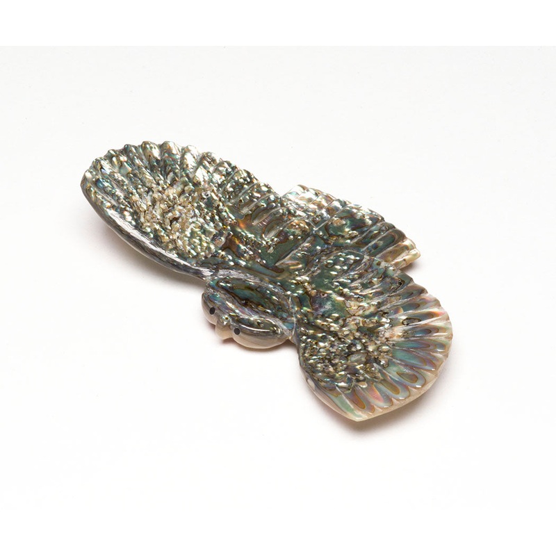 Force Of Nature Owl|Owl|Red Abalone