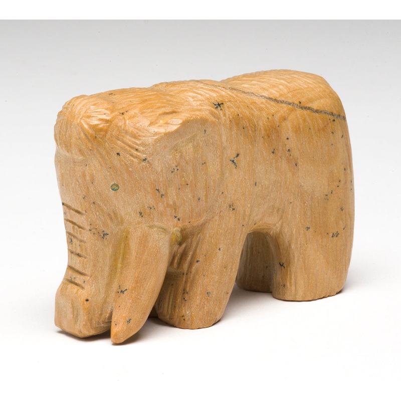 Pleistocene Mammoth|Mammoth|Picture Jasper