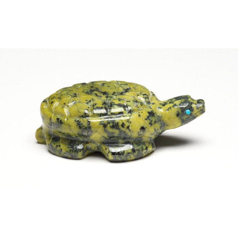 Sunny Turtle|Turtle|Serpentine