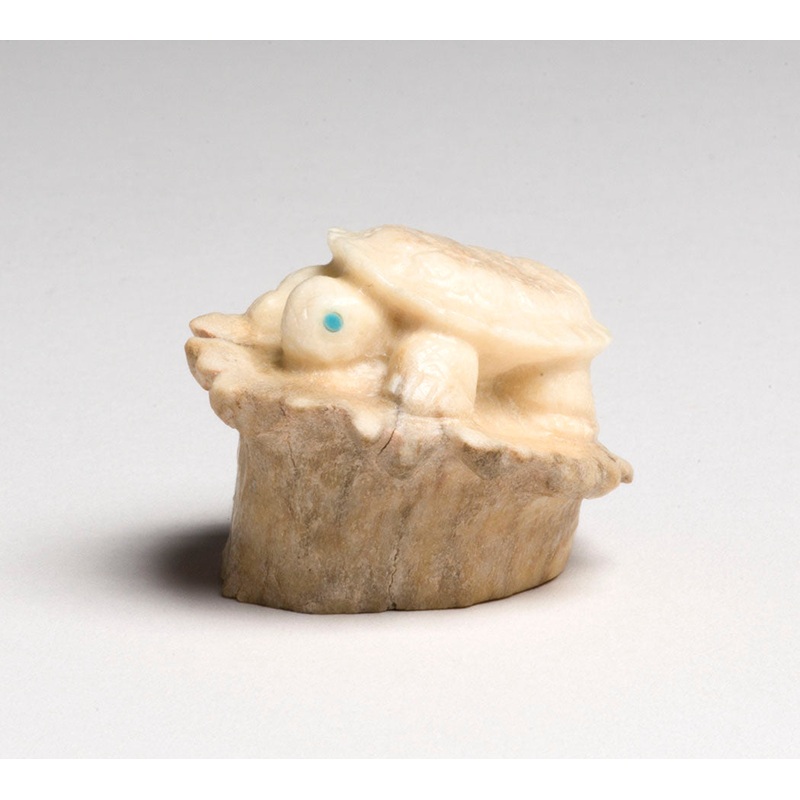 The Little Turtle That Could|Turtle|Antler
