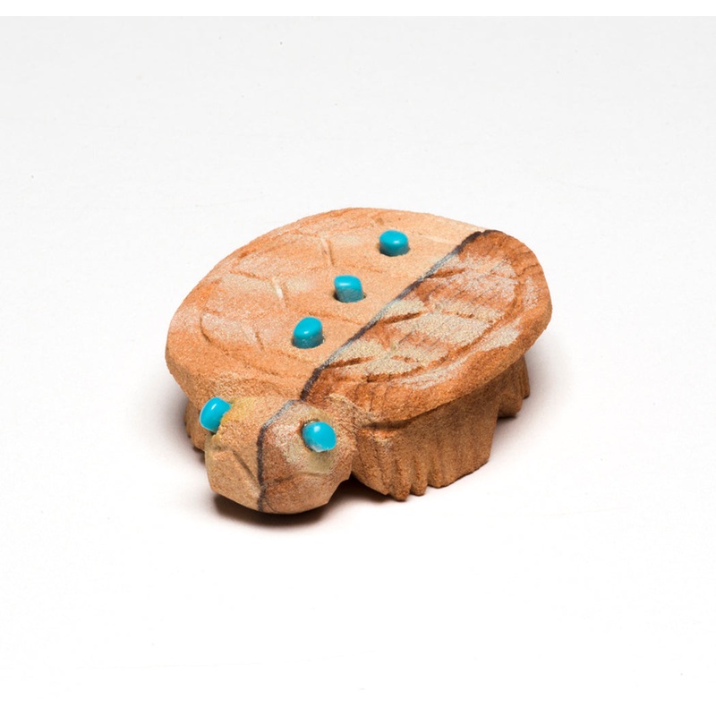 Two Tone Turtle|Turtle|Sandstone