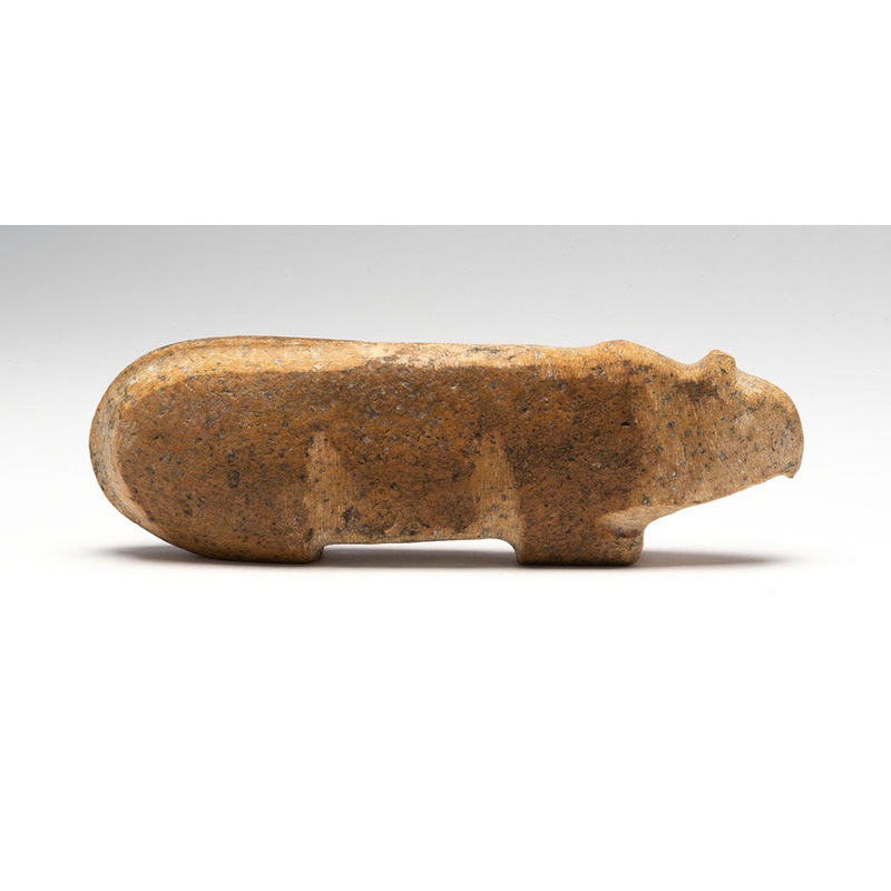 Look After Mountain Lions|Mountain Lion|Found Stone