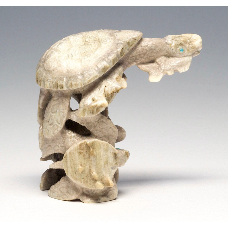 Sea Turtles Hunting|Sea Turtle|Antler