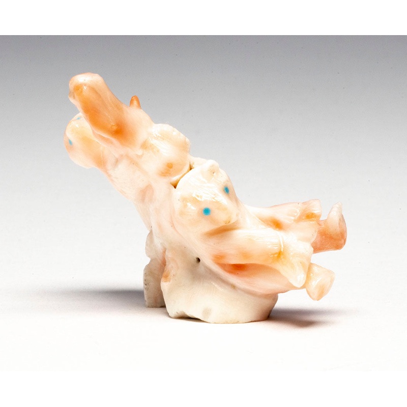 Tree-Climbing Bear Cubs|Bear|Pink Coral