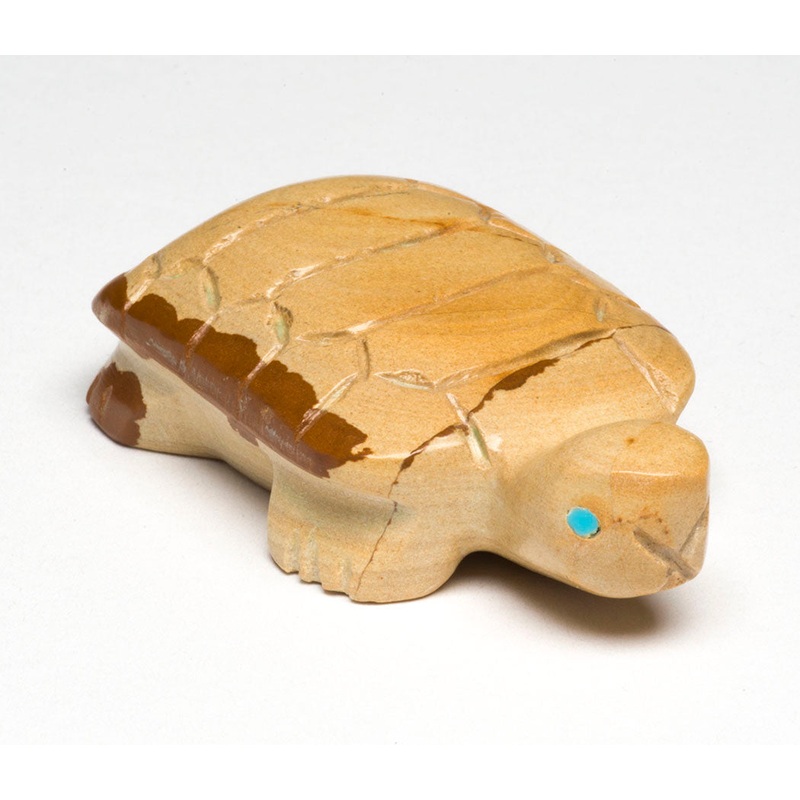 Turtle Island|Turtle|Picture Jasper