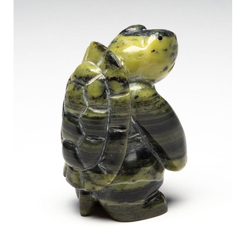 Turtle Timekeeper|Turtle|Ricolite
