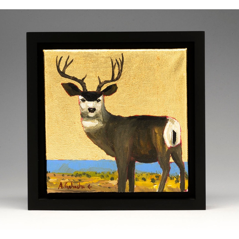 Zuni Mule Deer
