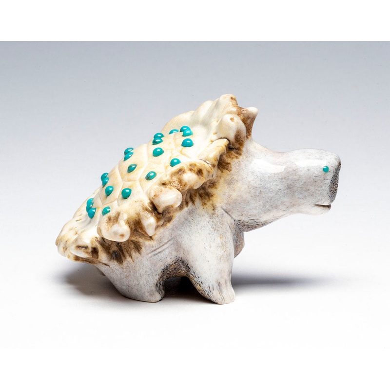 Adaptable Turtle|Turtle|Antler