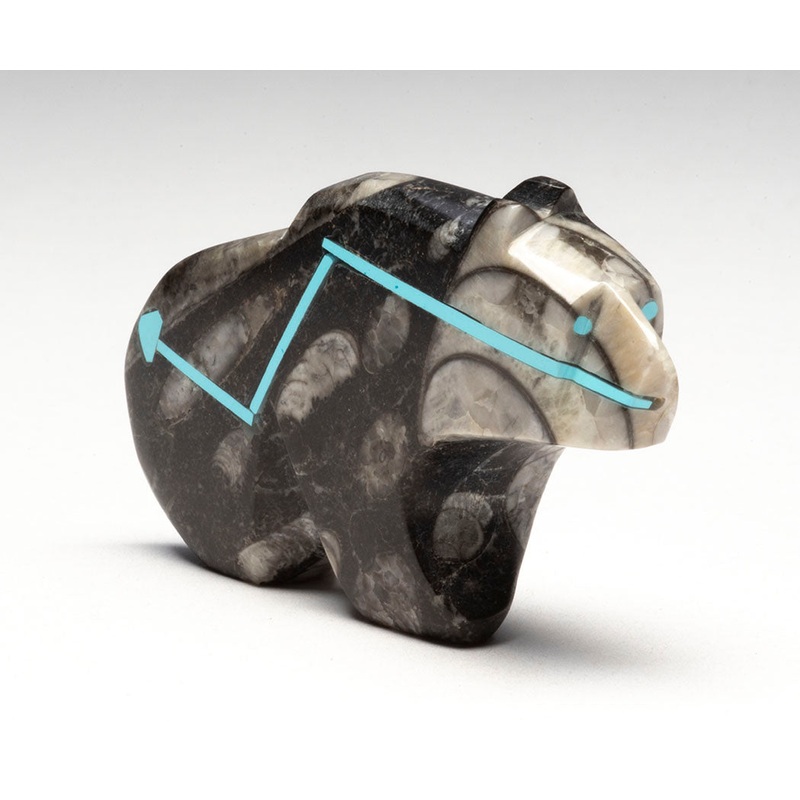 Ancient Life Bear|Bear|Orthoceras