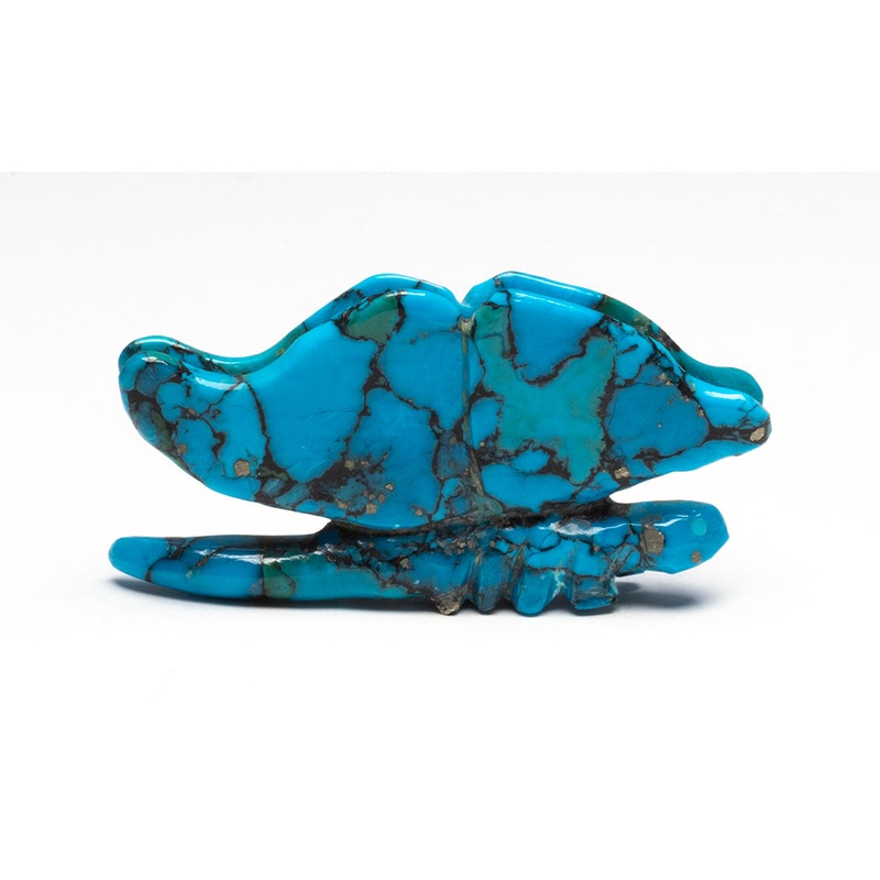 Butterfly Kisses|Butterfly|Turquoise
