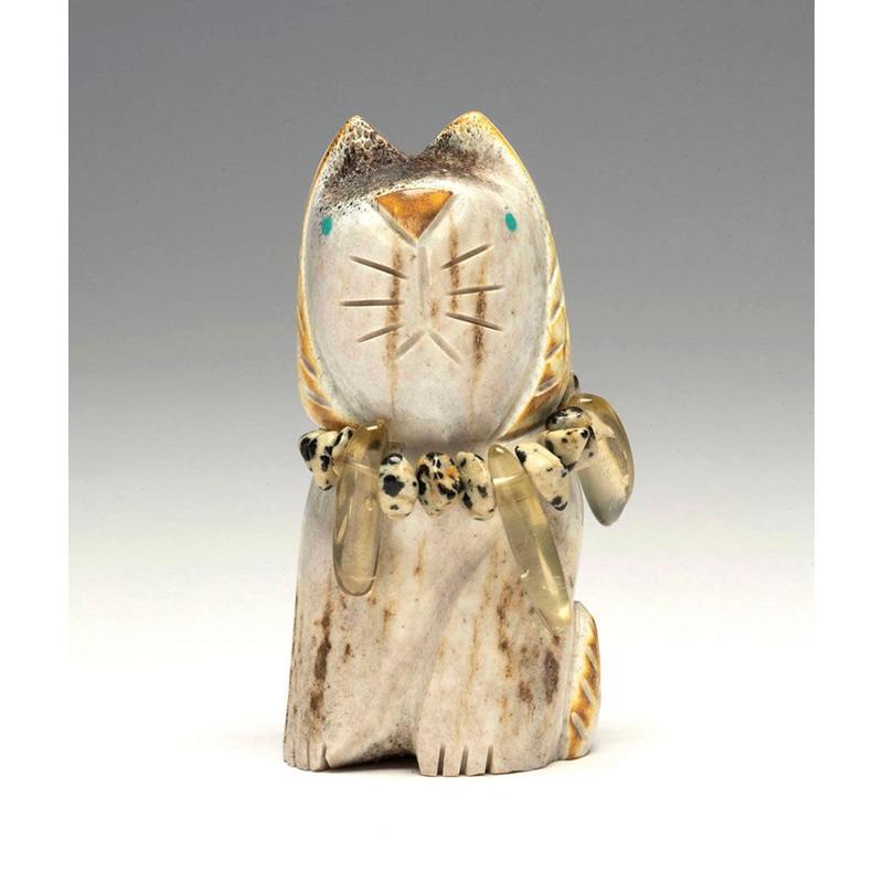 Curious Bobcat Kitten|Bobcat|Antler