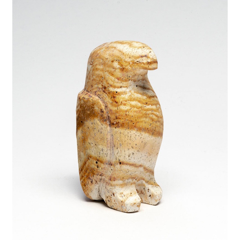 Hawk Nation|Hawk|Found Stone|Hawk|Found Stone