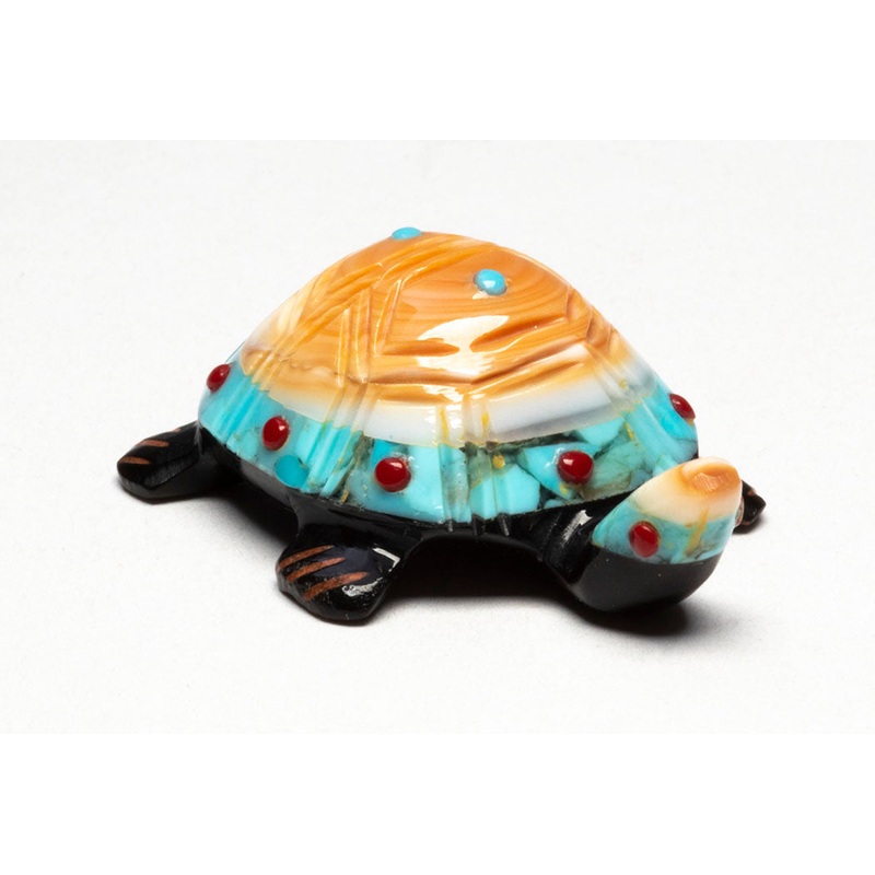 Natural Rhythms Turtle