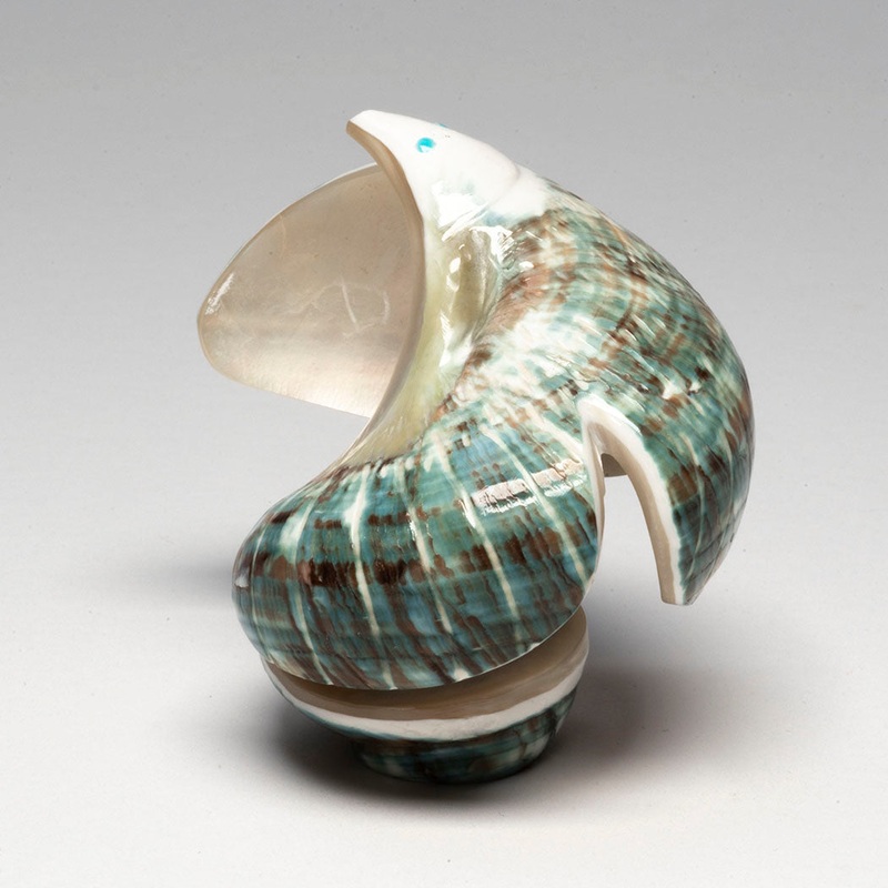 Ride The Thermals Eagle|Eagle|Pacific Green Snail Shell