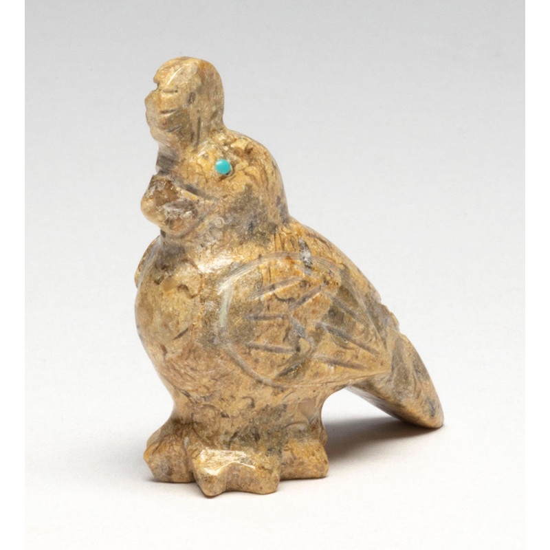 Topknot Quail|Quail|Fossiliferous Limestone
