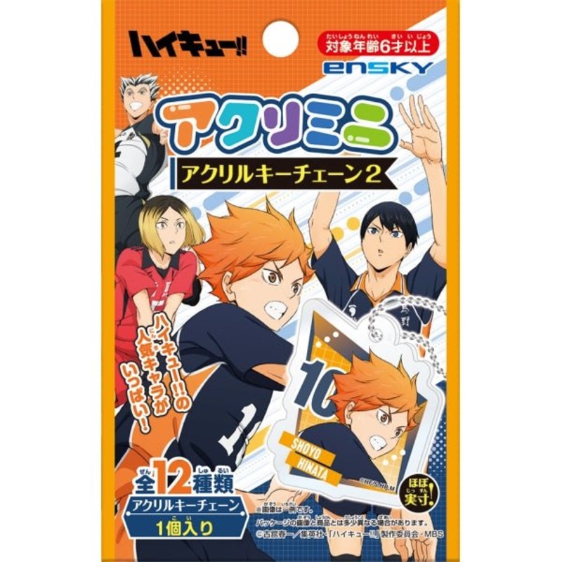 [Haikyuu!] Mini Acrylic Keychain Blind Bag