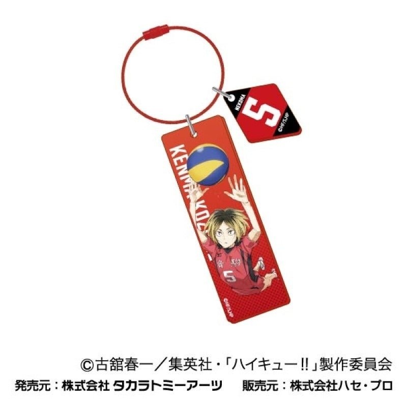 [Haikyuu!] The Movie: The Dumpster Battle Wireplate Keychain – Kenma Kozume