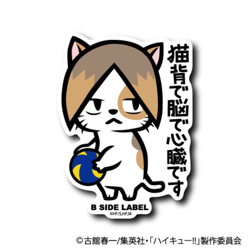 [Haikyuu!] Nekomanekokozume: Hunched back, brain and heart.