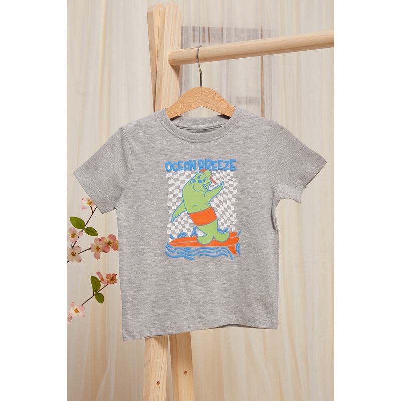 Infant Boys Grey Shark Printed T-Shirt