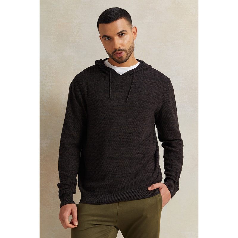 Men Brown Knitwear Hooded Pullover