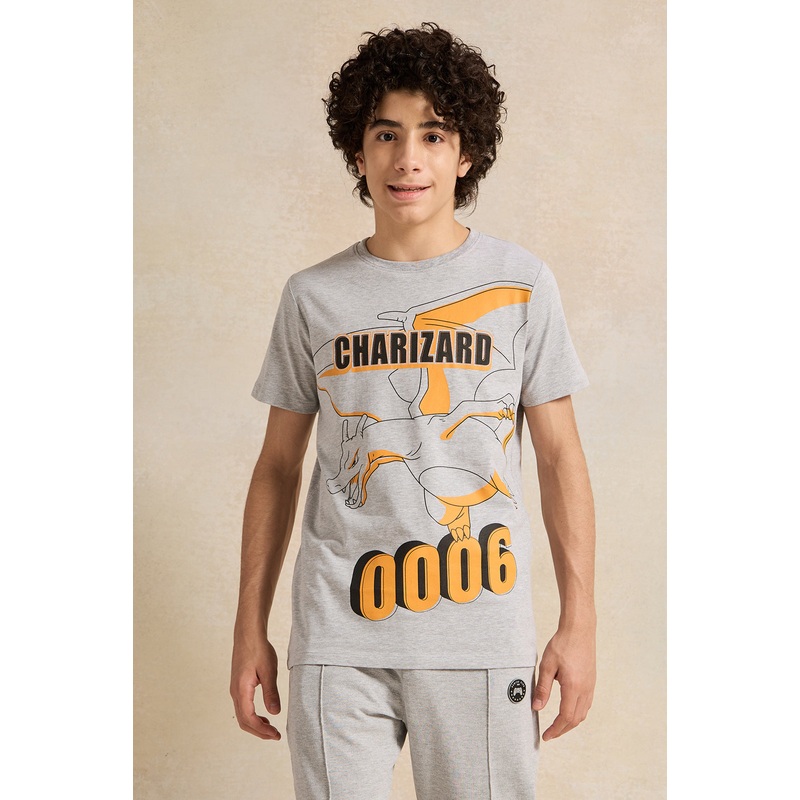 Senior Boys Grey Printed T-Shirt