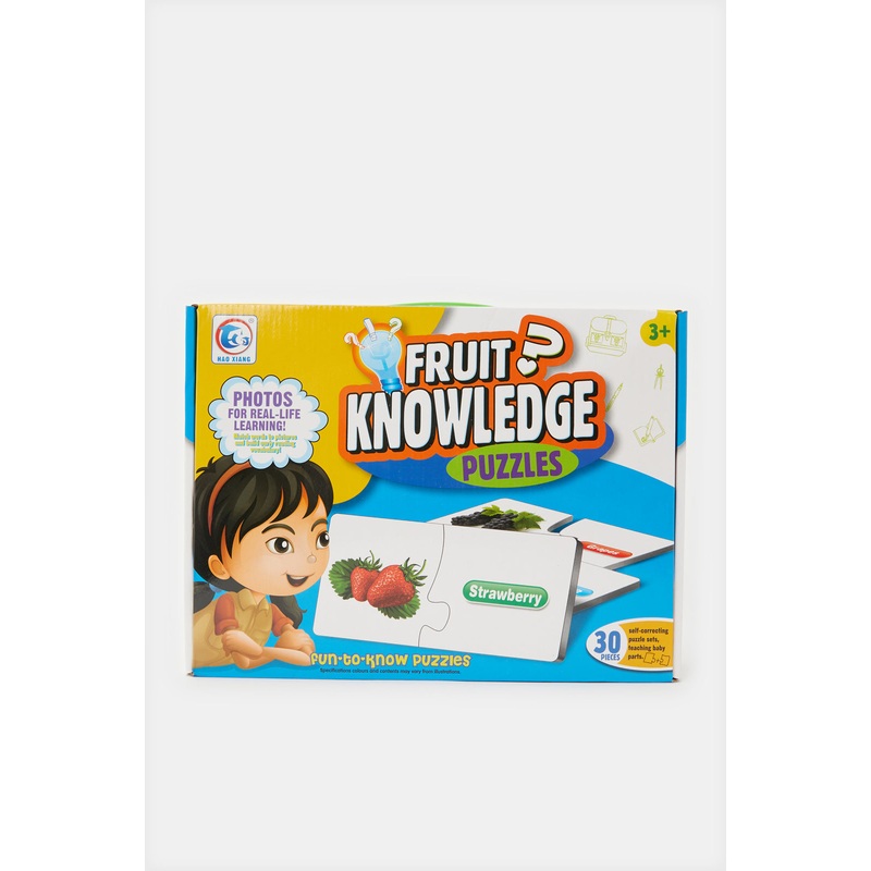 Assorted Food Knowledge Intelligence Toys (48 Piece)