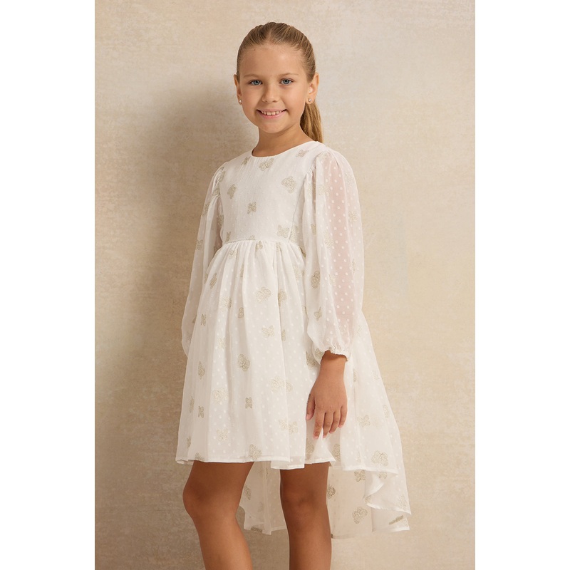 Girls Butterfly Embroidery Chiffon Dress