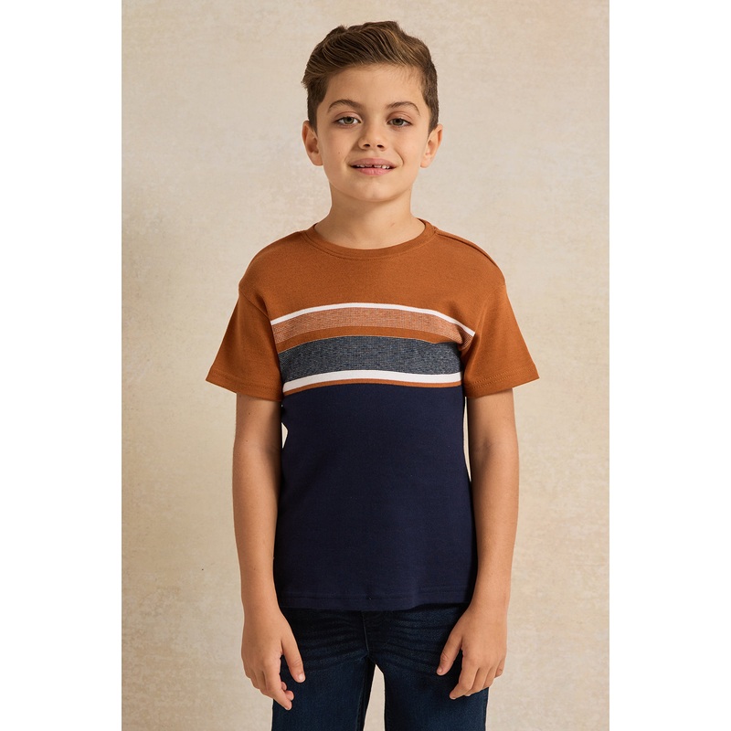 Boys Navy And Beige Striped T-Shirt