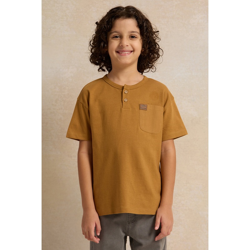 Boys Brown Solid Short sleeve T-shirt