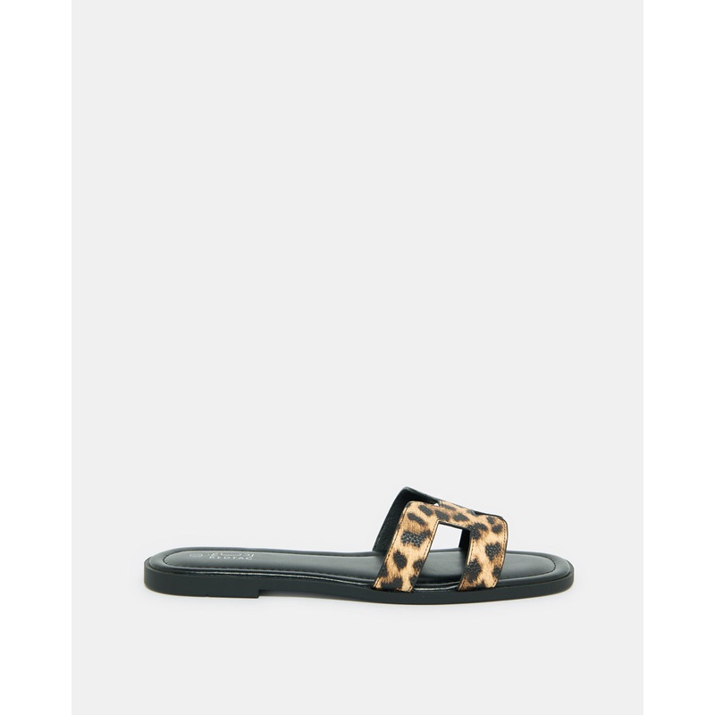 Women Black Leopard Printed Mule