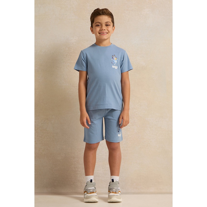 Boys  Blue Printed Casual Set(2 Piece)