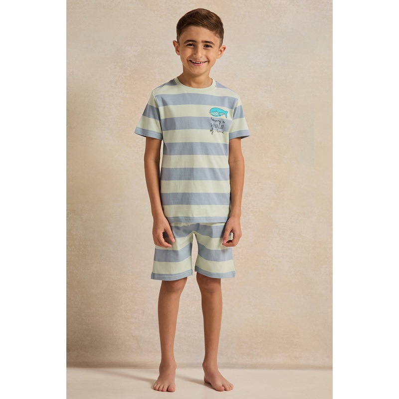 Boys Mint And Grey Striped Pyjama Set (2 Piece)