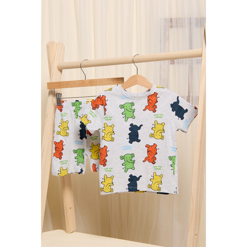 Infant Boys Grey Printed Pyjama Set (2 Piece)