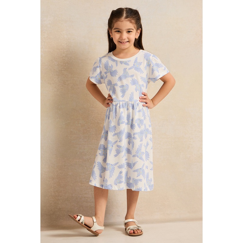 Girls White And Blue Printed Dress